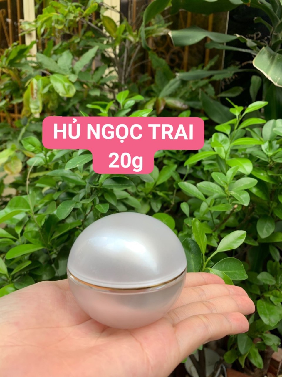 HỦ NGỌC TRAI 